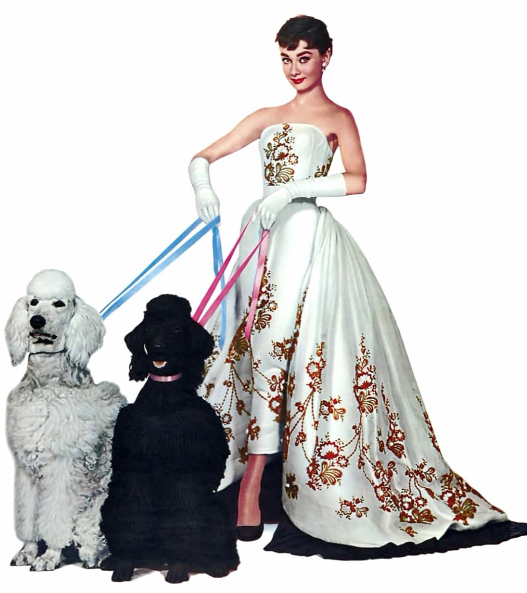 Audrey Hepburn: Embroidered strapless gown